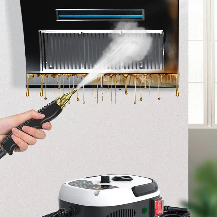 2500W Steam Cleaner High temperature Jet Washer Range Hood for Kitchen Air Conditioner Car Cleaning